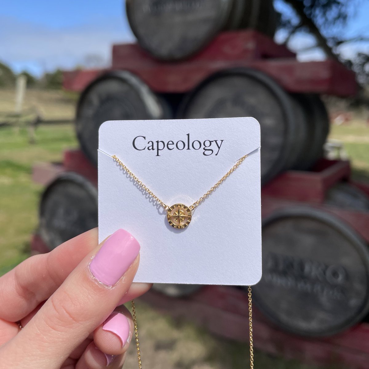 capeologypics's tweet photo. THEY’RE LIVE! 🥳 Our Compass Collection is NOW available on our website! 🧭Hurry, these will sell fast! ✨ All orders ship for FREE in the USA. Shop here: https://t.co/wM6VnWMKJ2

#capeology #capecod #capecodjewelry #nauticaljewelry https://t.co/YxjMPgch2h