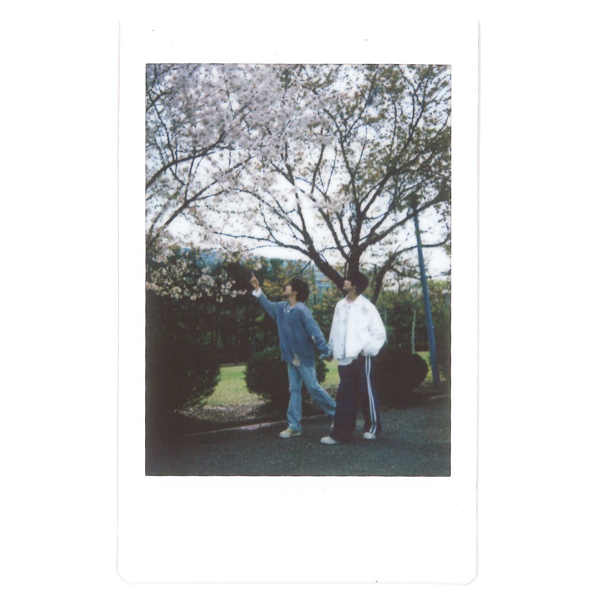 FvXdPLSaAAMBxBw?format=jpg&name=medium