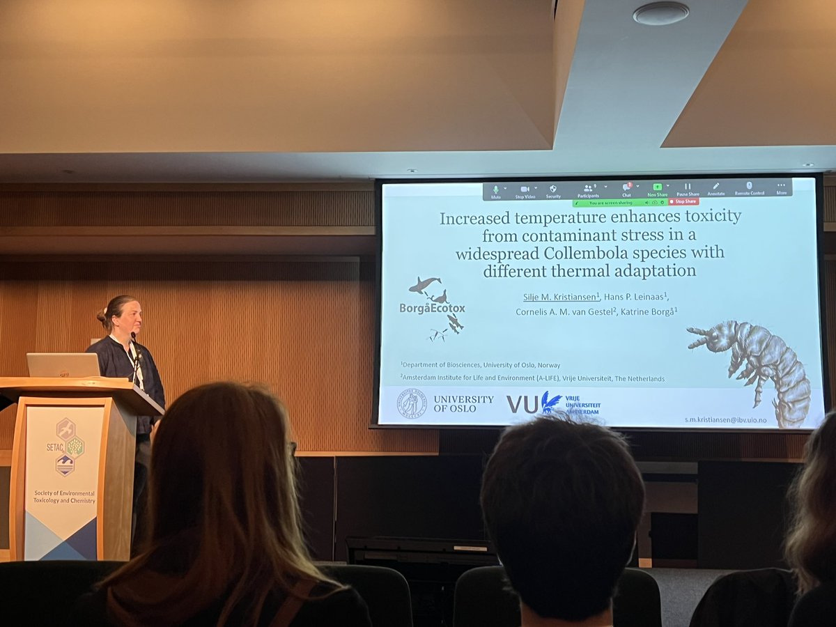 Katrine Borgå tweet media