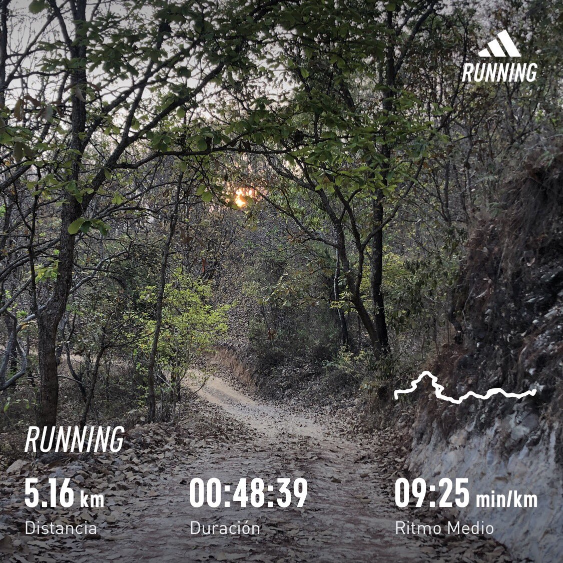 Jr_chamaeleonid's tweet photo. 🤙🏼😉🤙🏼
@yoelegicorrer1 #TrailRunning
@LoveRunSmile #SierraGuerreroMX
@SumandoKMx #AsicsTrail
@RunnersWorldMex
@marathorunners
#YoElegíCorrer #Runners #Trail
#LoveRunSmile #Runtastic
#SumandoKMx #marathorunners https://t.co/313w9ykOmp