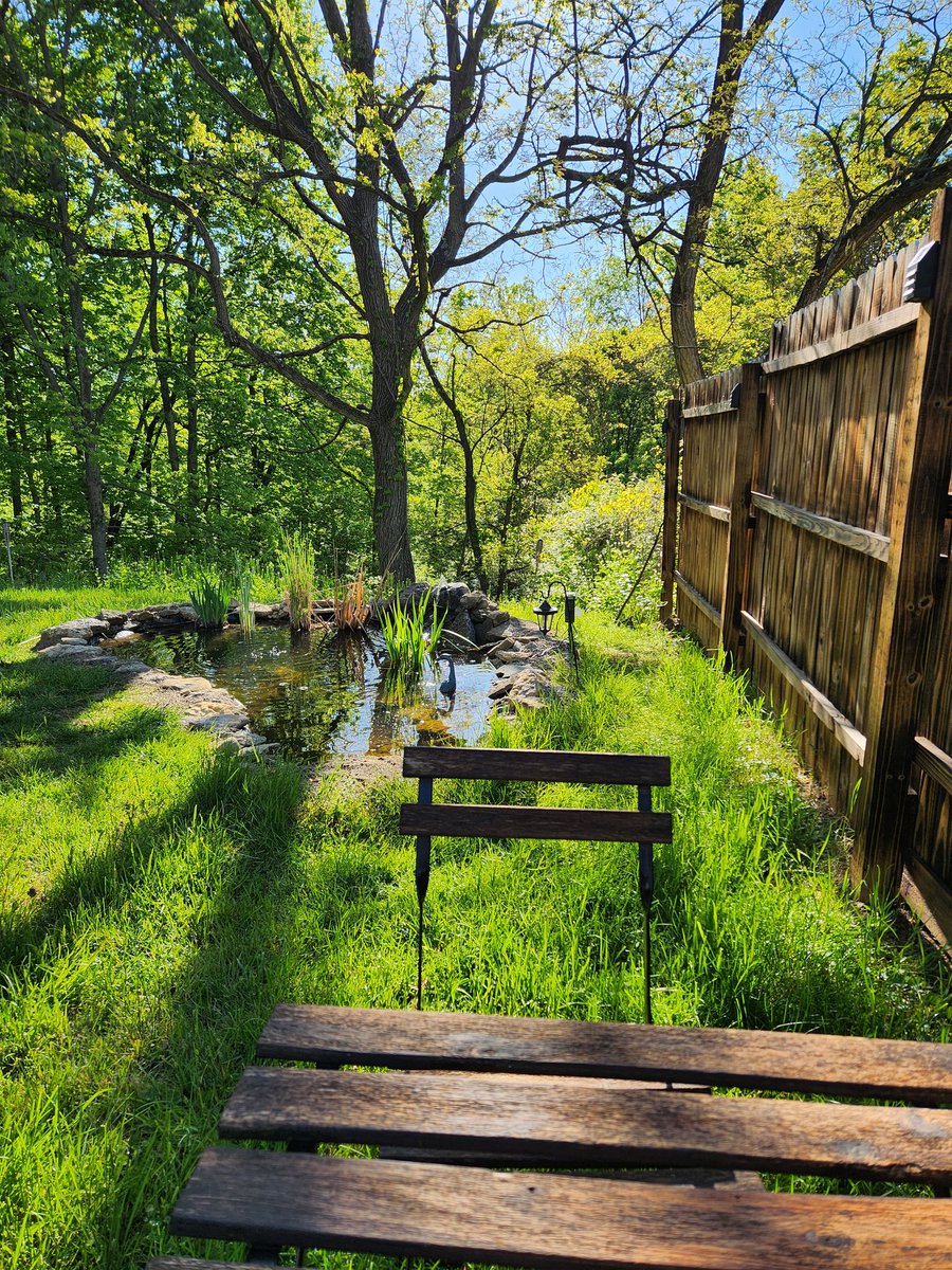 The goldfish are having babies. I'm having coffee