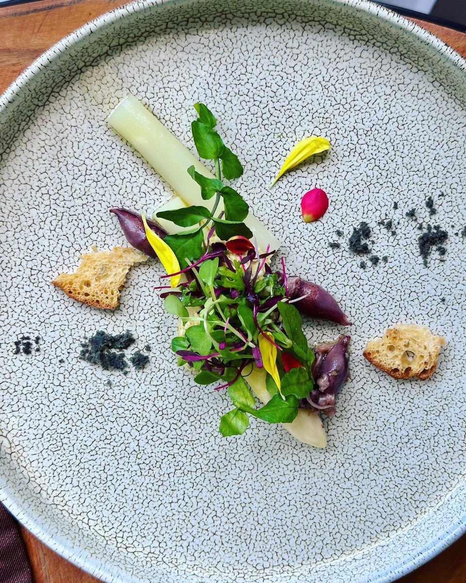 yucaticatac's tweet photo. だいすきなGrand Kitchenのテラスへ🦢
素晴らしいホスピタリティとサービス🍽️
心地よい風と日差し🍃⛅️
#palacehoteltokyo
#grandkitchen https://t.co/bUxH36AY0Z