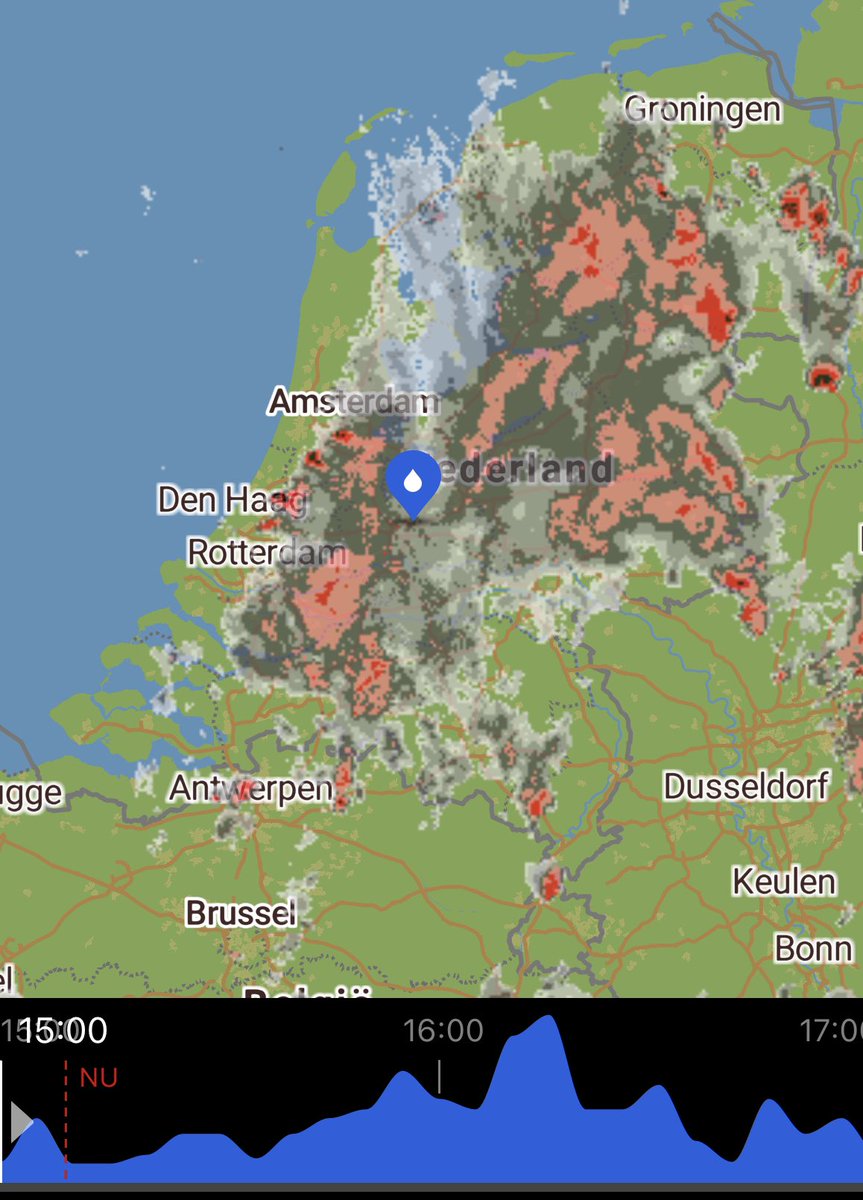 Helga van Leur ☀ tweet media