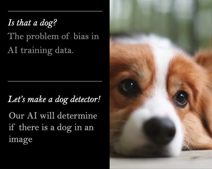 chriskulp_author tweet media