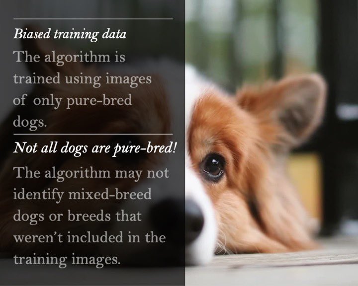 chriskulp_author tweet media