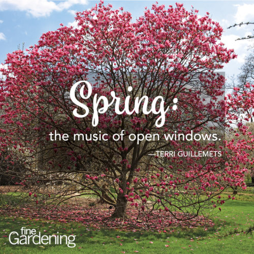 #spring #openwindows #music