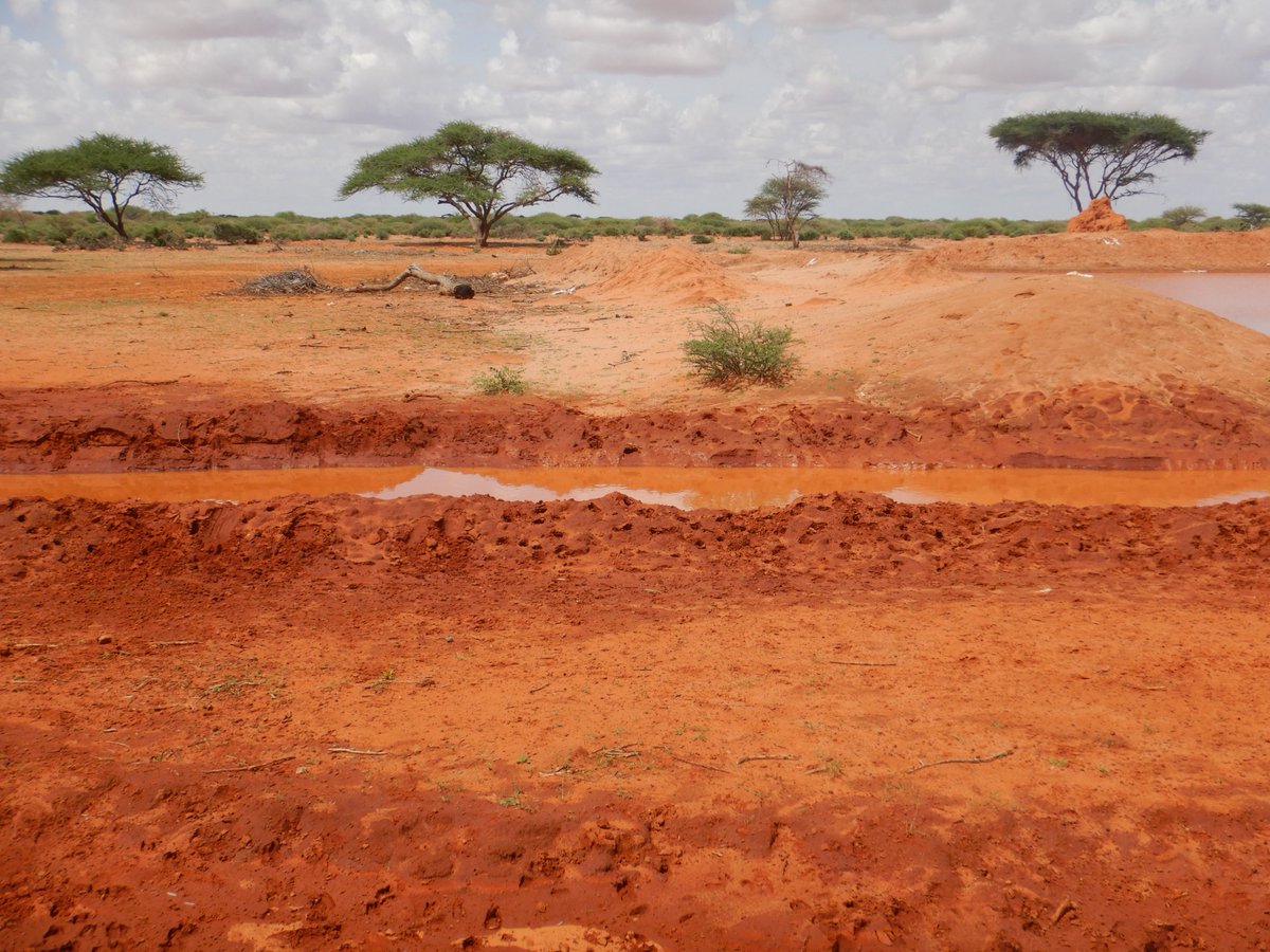 Thanks to the #CFW project funded by <a href="/FAOSomalia/">FAO in Somalia</a>, <a href="/DEH_Africa/">Development and Empowerment for Humanity (DEH)</a>  was able to successfully rehabilitate the Bilcaano water catchment in the #Dhusamareb district, serving 5,000 animals with a capacity of 4,050 cubic meters. This project will have a tremendous impact on the community