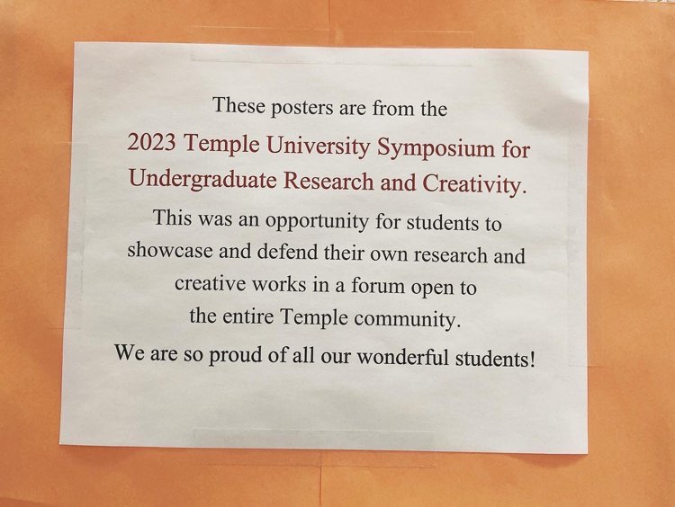 Weren’t able to make it to the TU Symposium poster session? Head on over to the 2nd floor of Tuttleman <a href="/TempleHonors/">Temple Honors</a> hallway where a number of Symposium posters are on display!