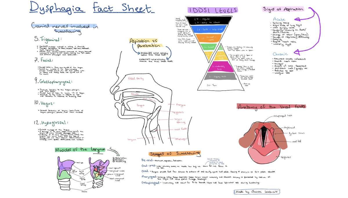 JacintaEcho's tweet photo. Hey all, here’s a little fun dysphagia fact sheet I made in preparation for an acute neurology adults placement. Feel free to save 😊 #slt #sltstudent #speechtherapy #dysphagia https://t.co/XccMRTFGGj