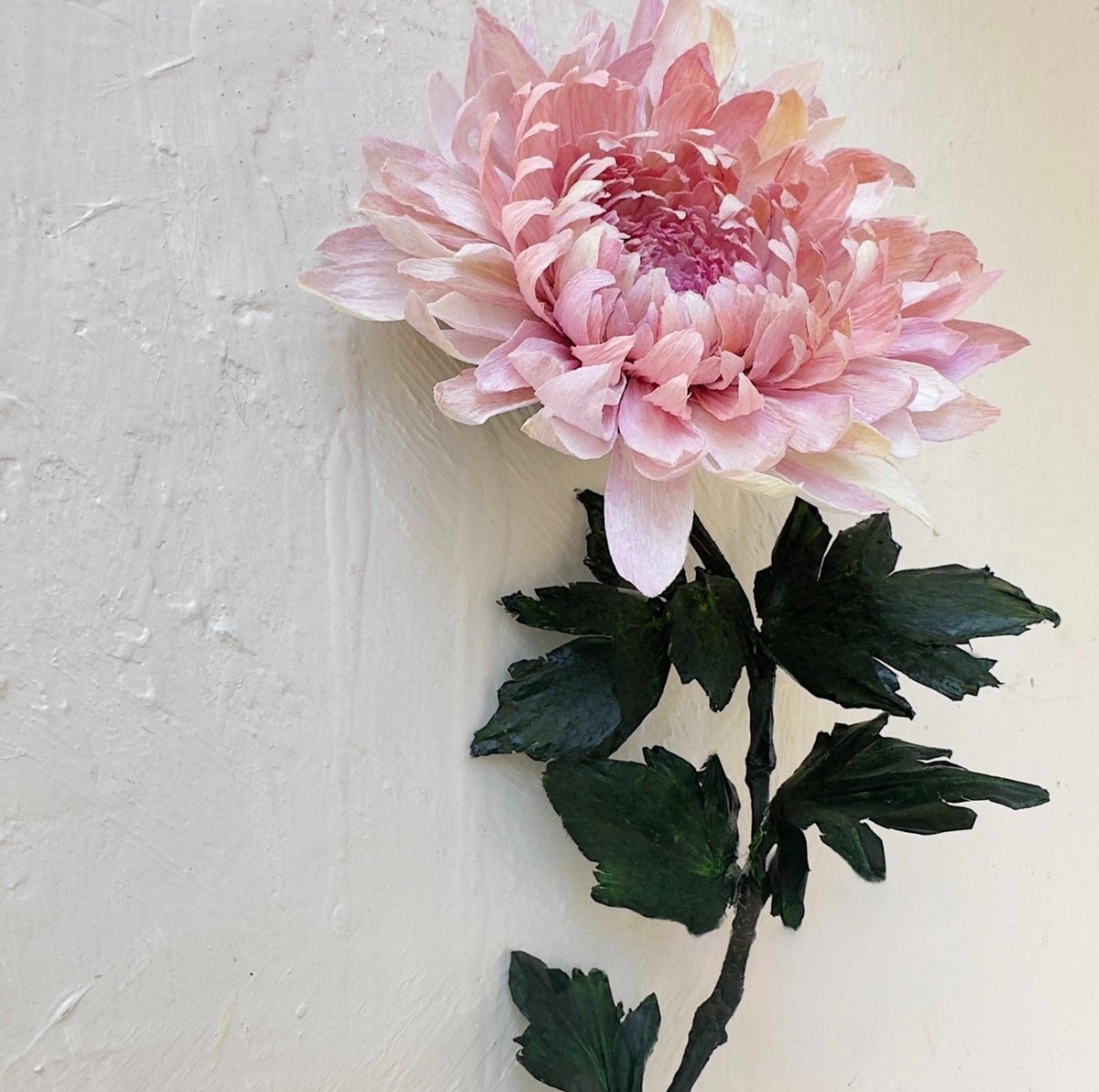 TheProcess: After a DECADE of trial and error, this is how I work to create my IRL botanical sculptures, #Crysanthemum #PaperBotany #PaperFlowers #PaperFlowersTutorial #MYART