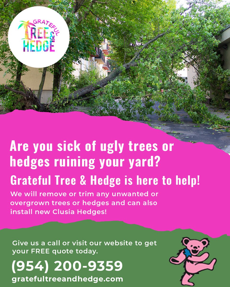 Contact Grateful Tree & Hedge today for tree and hedge trimming and removal services! 

#treetrimming #hedgetrimming #treeremoval #clusiahedges #stumpgrinding #Parkland #CoralSprings #CoconutCreek #Margate #Tamarac #BocaRaton