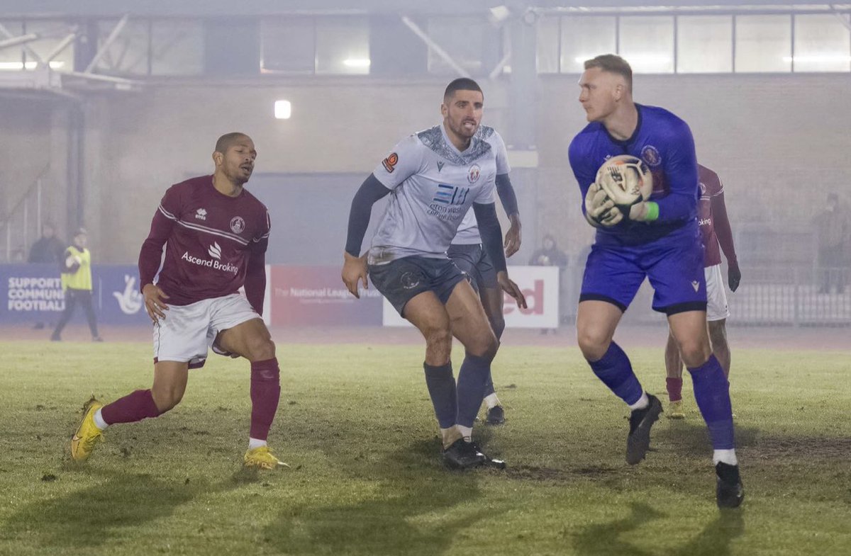 Matt Hall tweet media