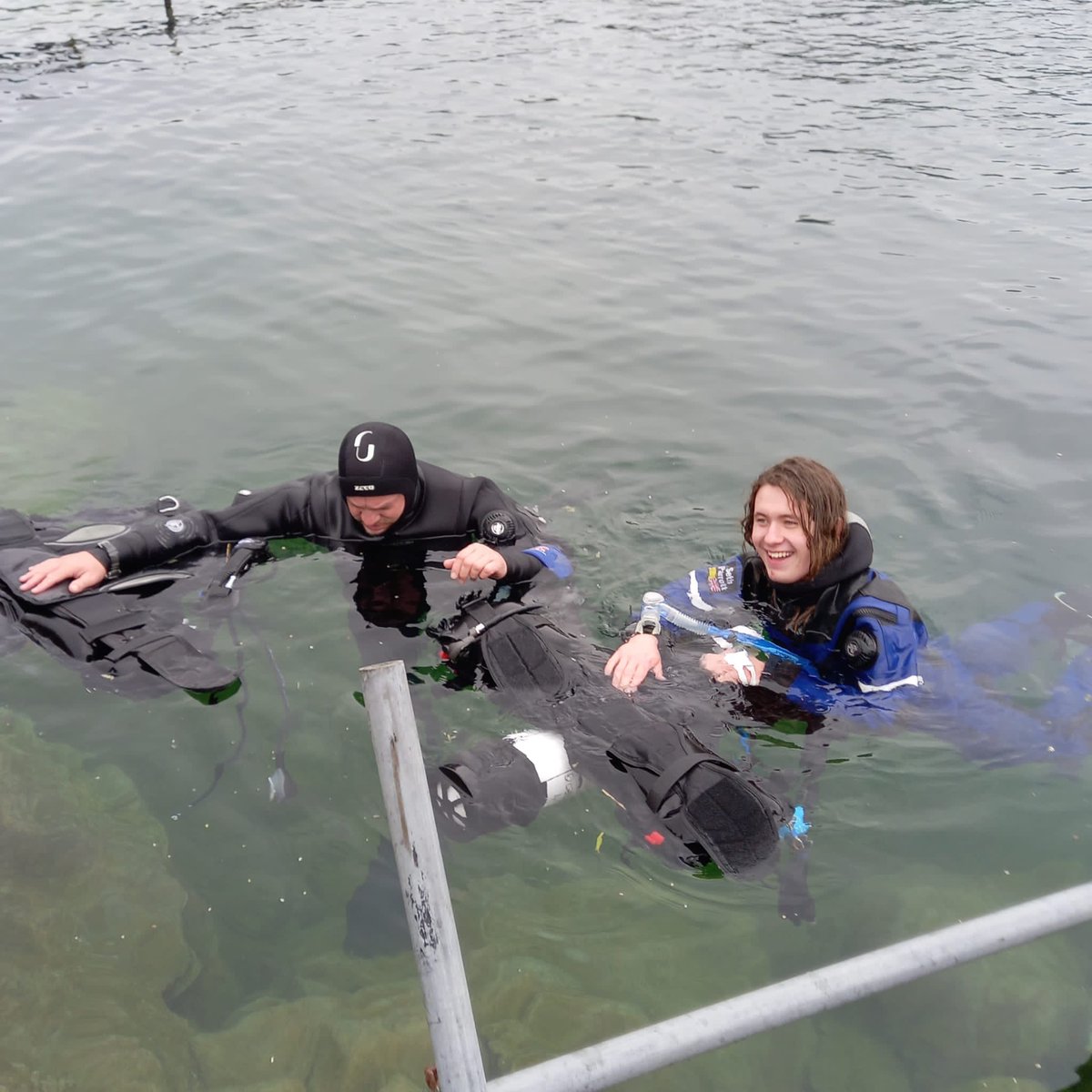 Parrottfish SCUBA tweet media