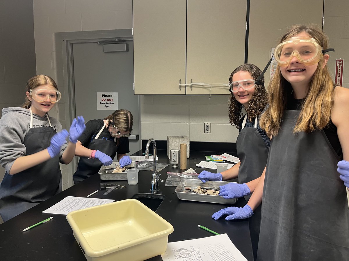 Bioisfun's tweet photo. Day 2 of dissection!  They are doing an outstanding job! #DMSLeads https://t.co/FTZjTfavWL
