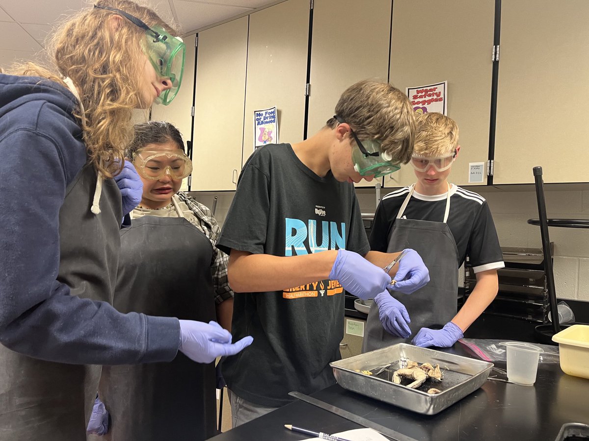 Bioisfun's tweet photo. Day 2 continued!  They are locked in and focused. #DMSLeads https://t.co/aAqNvTca91