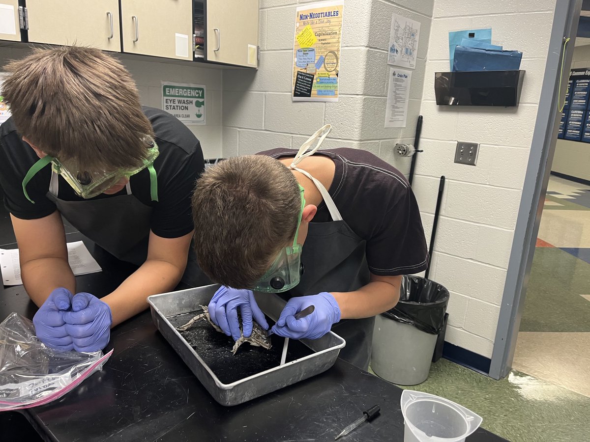 Bioisfun's tweet photo. Day 2 continued!  They are locked in and focused. #DMSLeads https://t.co/aAqNvTca91