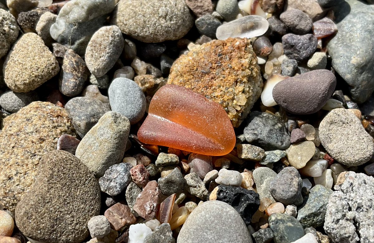 CapebretonGlass's tweet photo. ~ This bright little find showcases both the contoured characteristics & unique colour which match it to the headlamp of a motorcycle! 🧡
#sea #mudlarking #visitnovascotia #seamarble #beautiful #Beachcombing #beachglass #mermaidstears #visitcapebreton #seaglass #awesome #glass https://t.co/3gDi2IR2t7