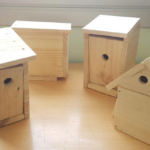 Homes…. sweet homes?! ift.tt/pIuhfNJ #salasixandri