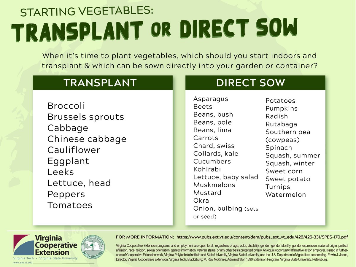 VACoopExt's tweet photo. The garden is calling, and it's time to plant! 🌱 But what should be transplanted vs. direct sowed? When should tomatoes be transplanted?

Our #VaCoopExt experts have all of those #gardening answers and more right here! ⤵️
https://t.co/p9a2FZKemz https://t.co/mfWd9jXDVN