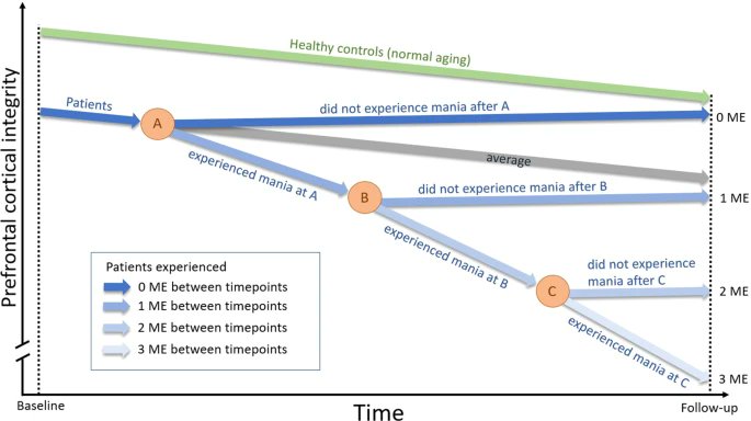 The trajectory of brain changes in bipolar disorder as conceptualised in recent review. nature.com/articles/s4138…