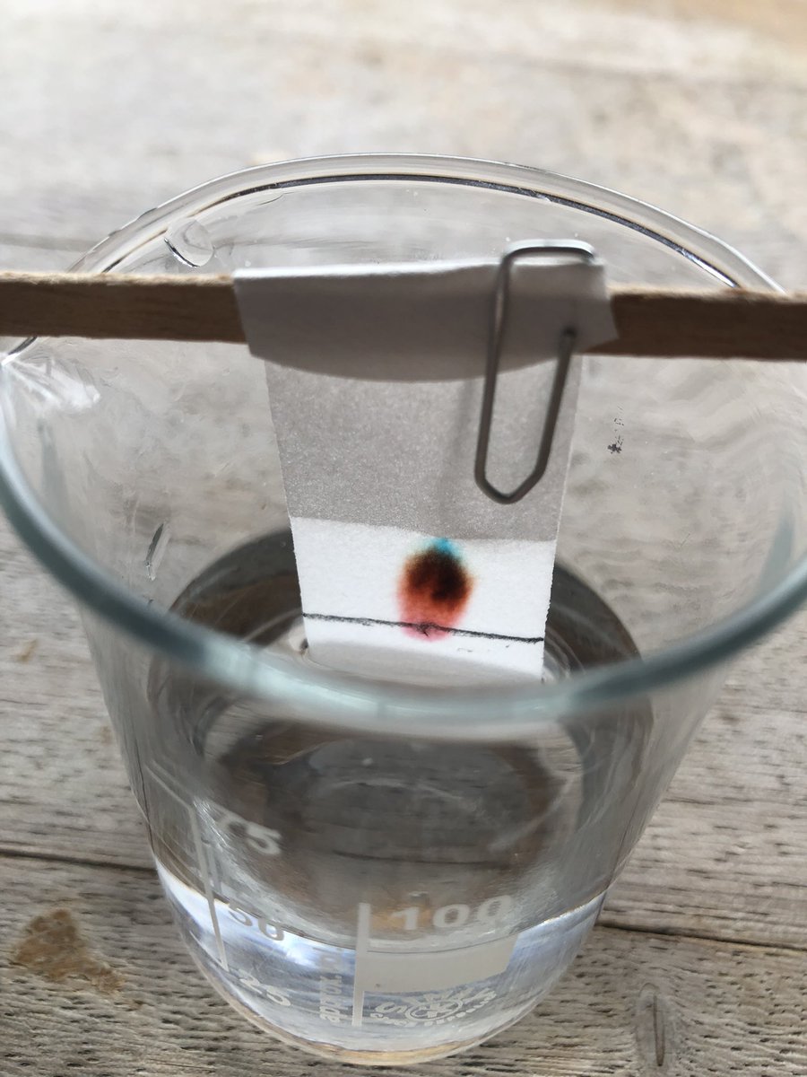 PatchwayS's tweet photo. Yr 9 used chromatography today to separate the dyes in felt tips. #ambitious #respectful #excellent @olympustrust @patchwayc_s https://t.co/9FPKlyfLMa