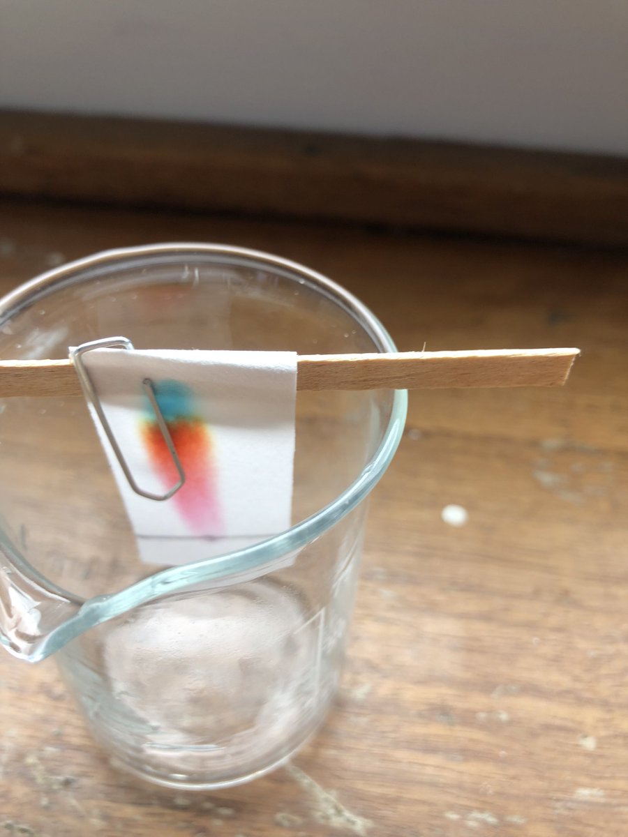 PatchwayS's tweet photo. Yr 9 used chromatography today to separate the dyes in felt tips. #ambitious #respectful #excellent @olympustrust @patchwayc_s https://t.co/9FPKlyfLMa