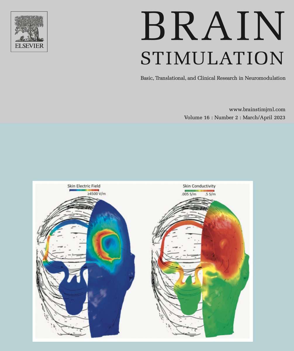 Marom Bikson tweet media