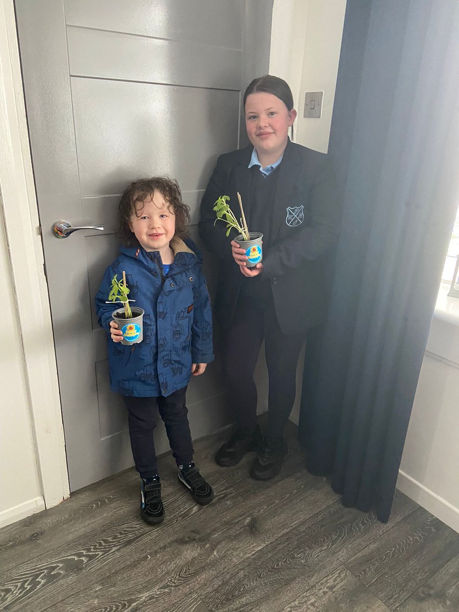 Well done to Lacey and Brody for growing some amazing #sunflowers! Keep up the good work, kids! #SunnyBlantyre🌻 @highblantyreps1 @hb_nursery @RHSBloom @The_RHS #OurBloom #BloomHour