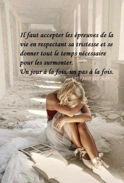 laventuregenea1's tweet photo. https://t.co/Q9gN3c2vjZ