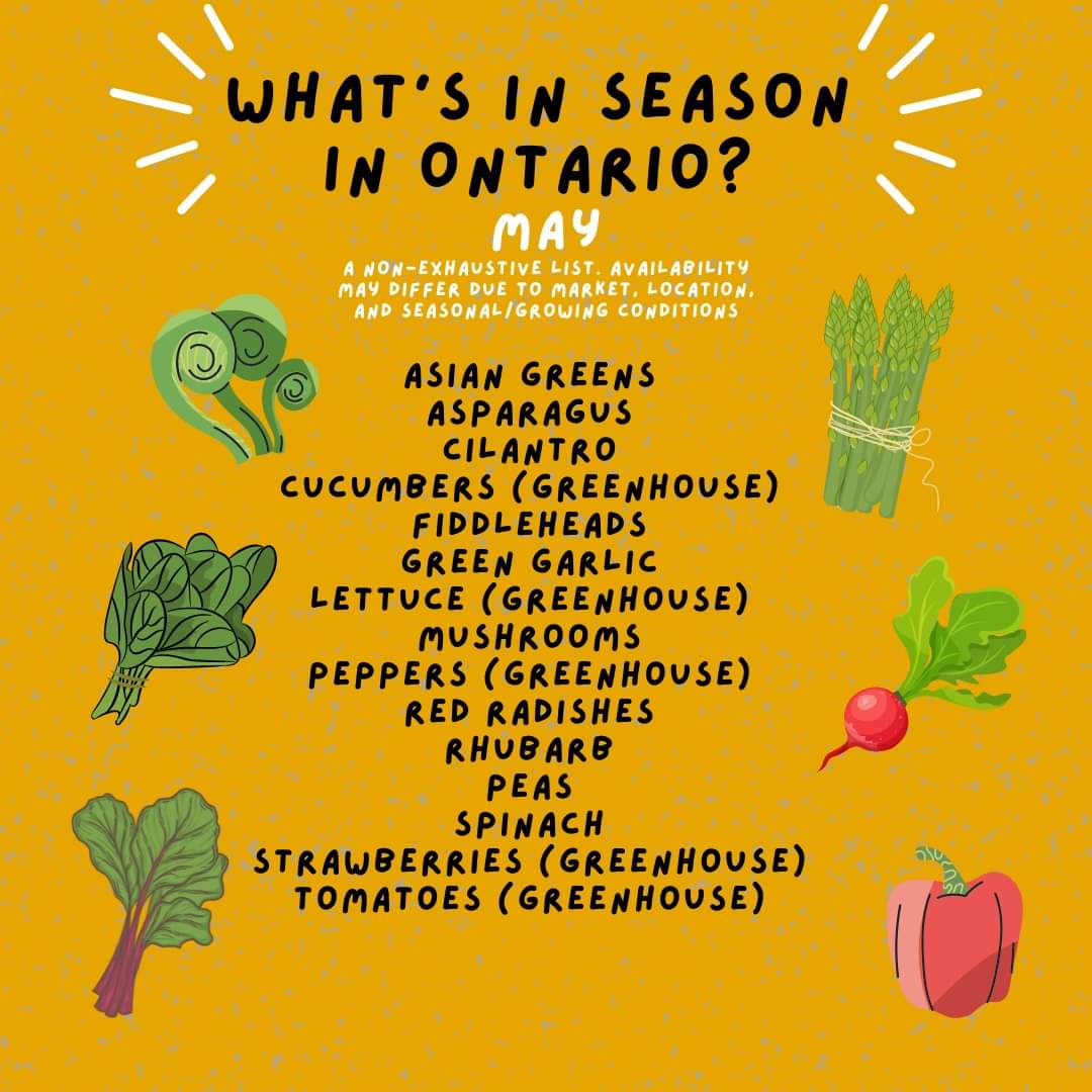 pfenningsfarm's tweet image. It&apos;s May! ☺️ We&apos;re transplanting, growing, and saying hello to new seasonal produce. For this month&apos;s #FindLocalFriday, be sure to keep your eyes open for fiddleheads - it&apos;s the only time of year you can get them! 

Looking for other local options this month? Check it out!