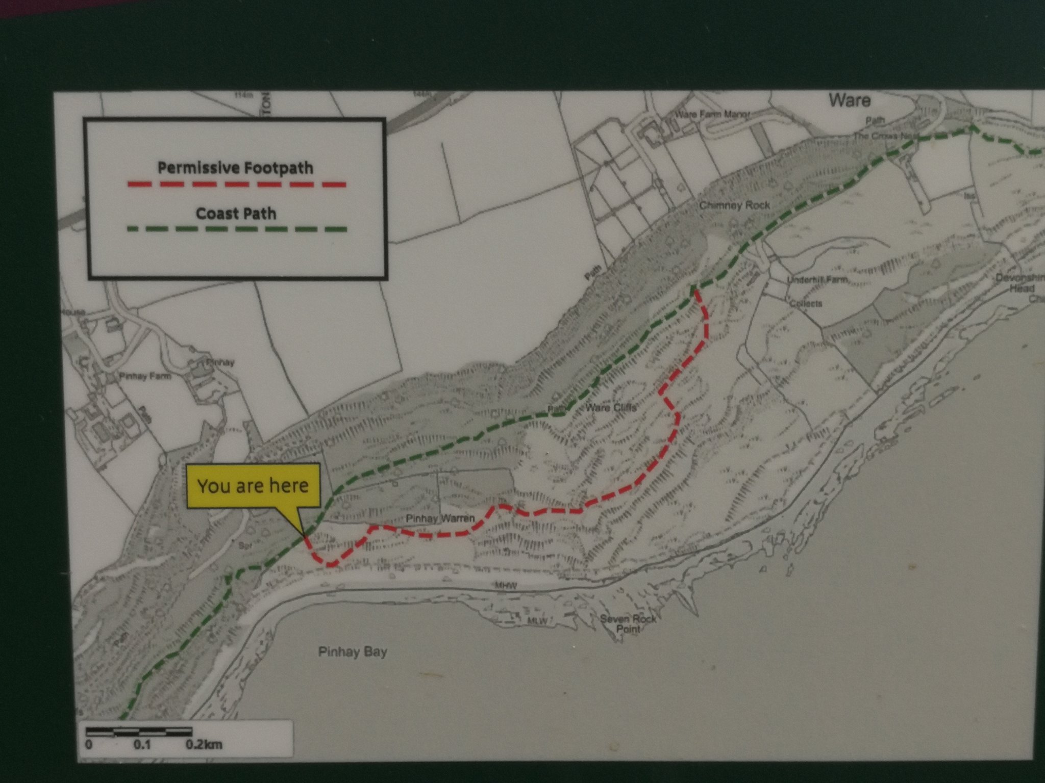 Martin Warren on Twitter "Nice new footpath through the AxmouthLyme