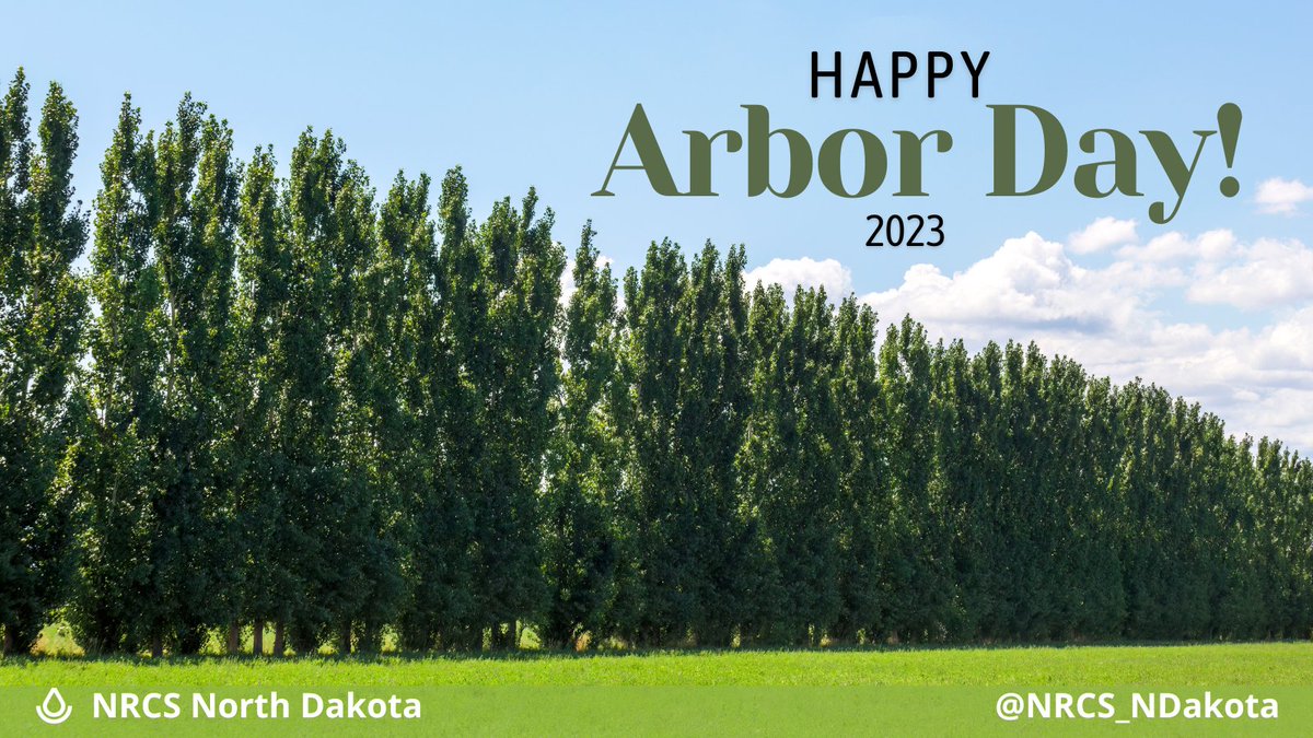 NRCS_NDakota's tweet image. Celebrate #ArborDay in North Dakota today by planting #trees! NRCS North Dakota can help you with the selection and design for #windbreaks and #shelterbelts. Learn more at: nrcs.usda.gov/conservation-b… #Conservation