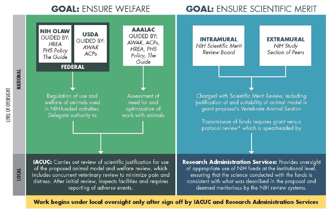 I love this figure in the new @theNASEM report on the state of #NonhumanPrimate Research 🤩 A great reminder that there are a robust body of laws, regulations, and policies that guide oversight practices at the federal and local level.
#AnimalResearchSavesLives