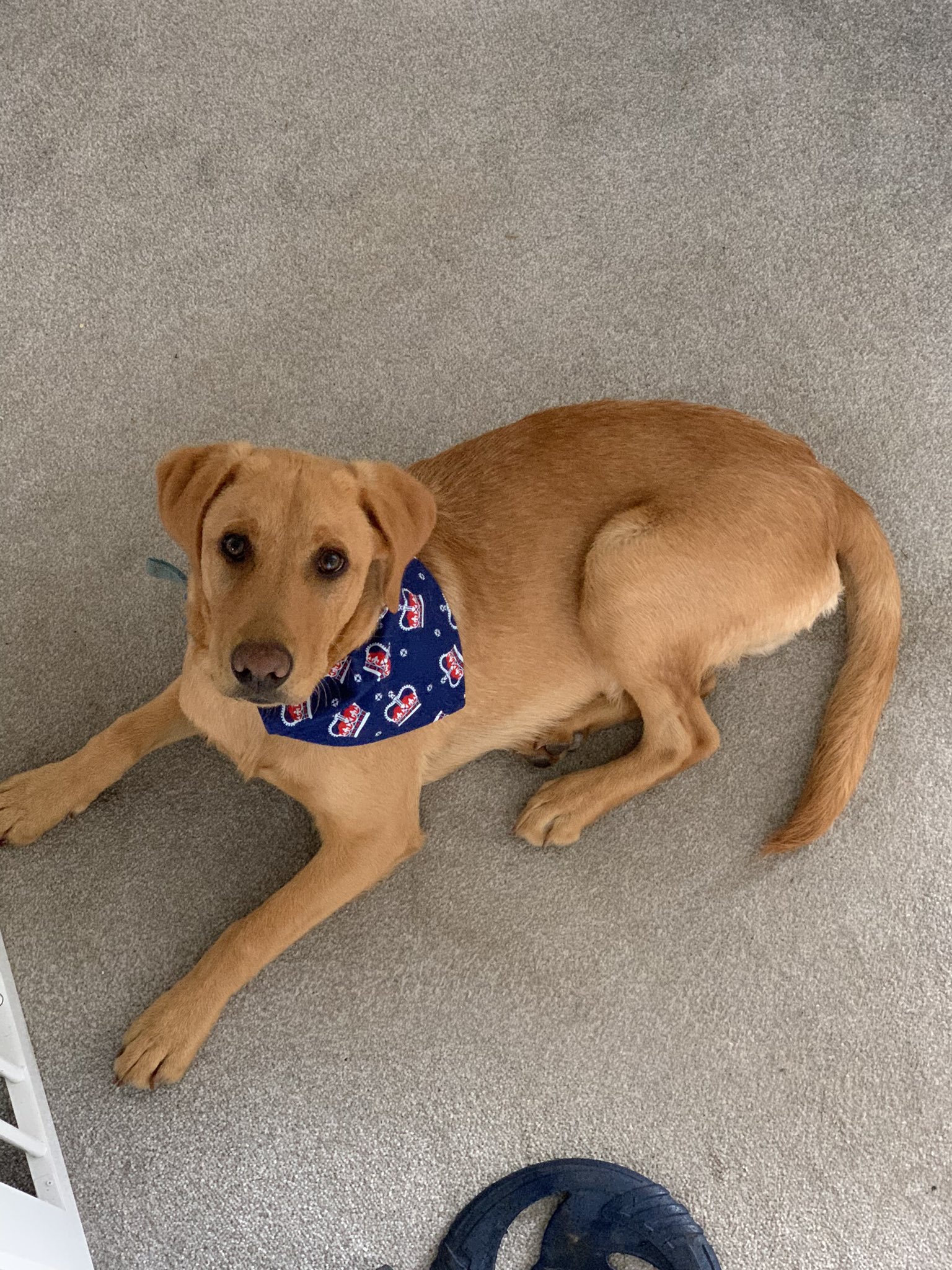  Happy birthday Maxwell from Arlo    