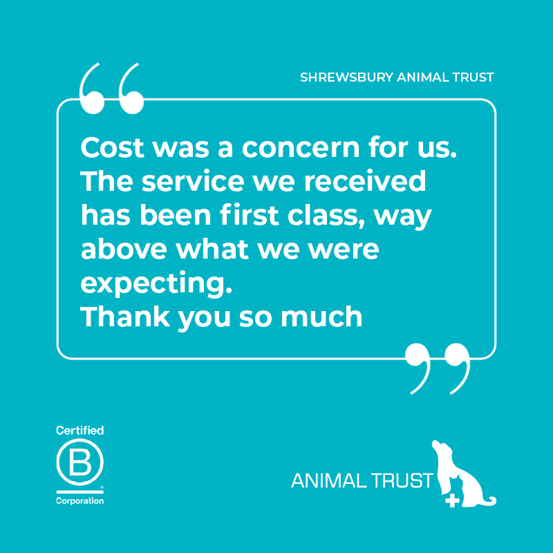 Animal Trust Vets tweet media