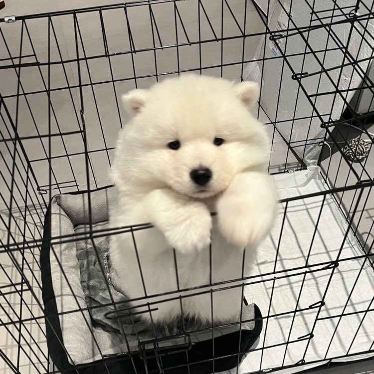 พี่ค้าบ พี่คนสวย โสดป่าว มีพันธะรึยาง