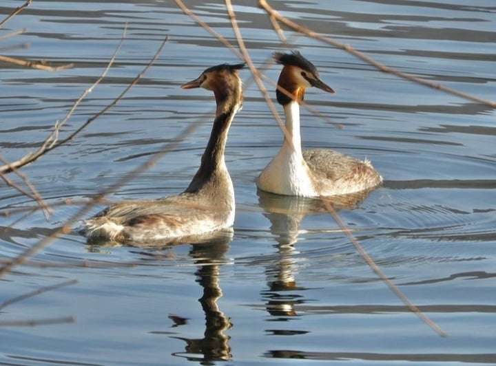 mailchi.mp/b7ebaef32eab/n…