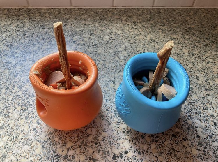 Just For Whippets tweet media