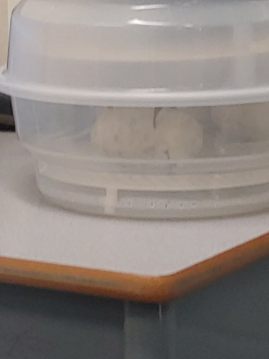 GUA Grade 1 Mrs. Hudon tweet media