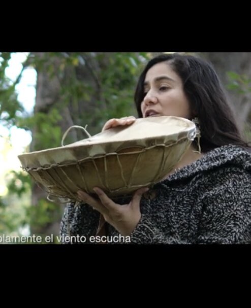 caminodomar's tweet photo. Un ritual Ancestral😊
#Mapuches
Un #Kultrun nace cuando se le encierra un canto / “KIÑE KULTRUN CHOYUY ULKANTUY¨
Vídeo ⬇️ https://t.co/E4FA7s1Sji