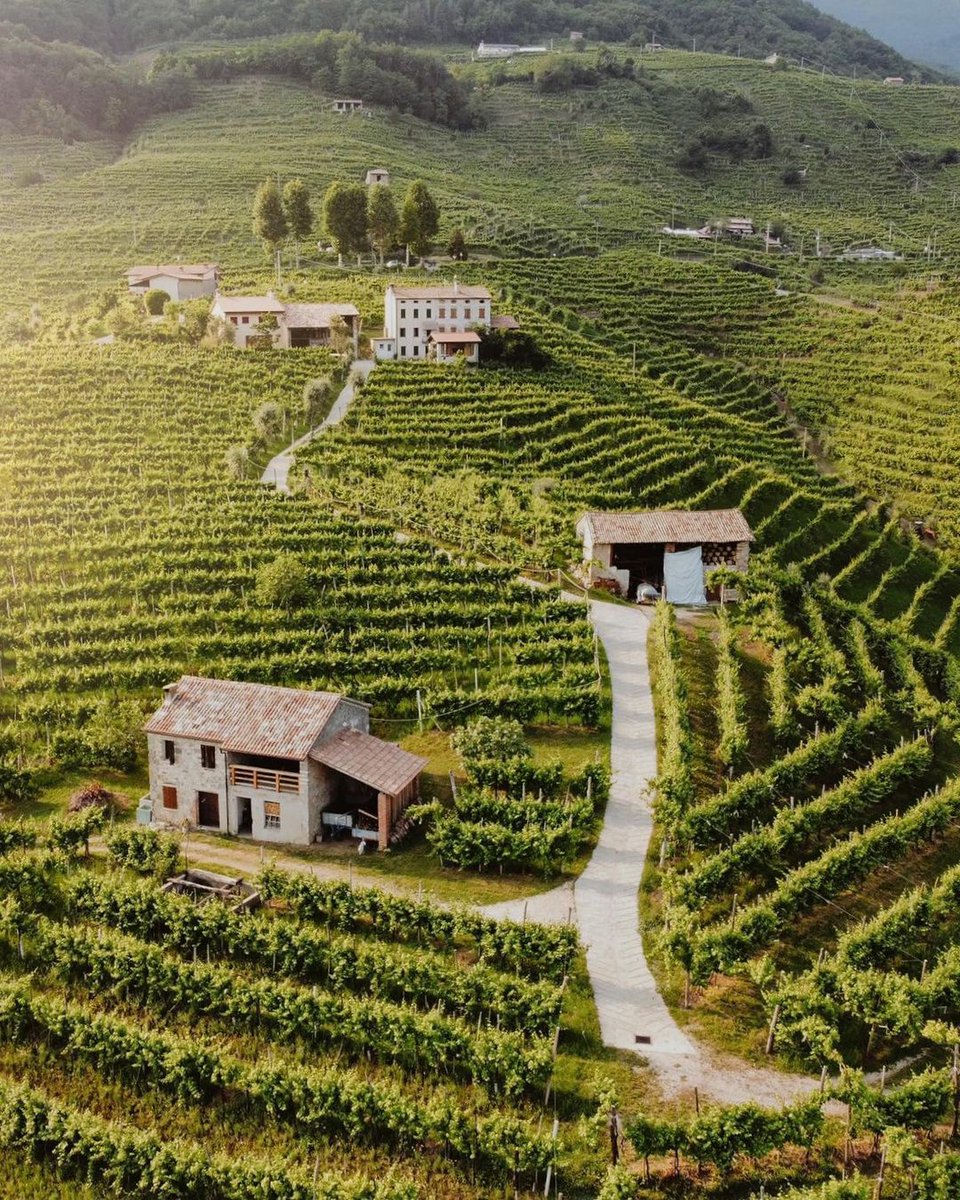 丘陵地帯にあるのは、広大なブドウ畑とワインセラーへと続く小道。 訪れればきっと住みたいと思わせる、ユネスコ世界遺産のコネリャーノ・エ・ヴァルドッビアデネのプロセッコを作る丘陵地帯へGo！ 📍@TurismoVeneto 📷 IG valeriamoschet #ilikeitaly