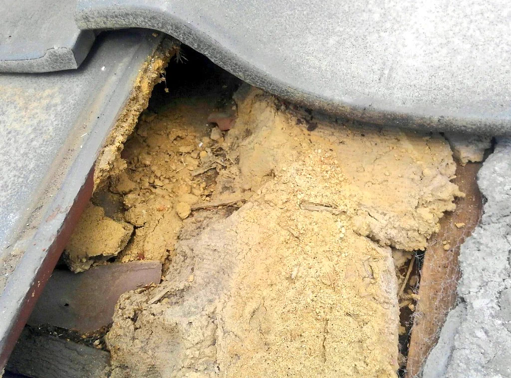 地震後にやってくる屋根の無料点検業者に注意！でっちあげで修理費を請求されるかも？！