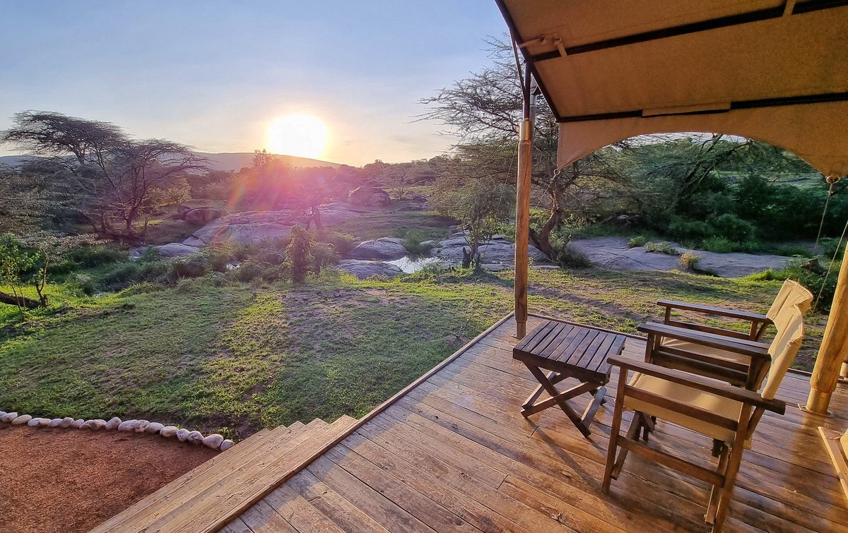 ShafeeqMulla's tweet photo. Samana mara camp
#Masaimara #kenya https://t.co/jw2WFO0z1W