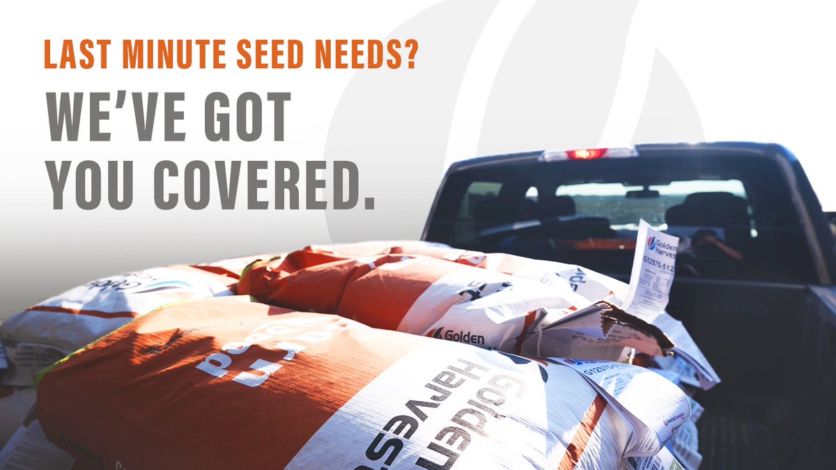 We have game changing corn and Gold Series soybeans in stock for your in-season seed needs. Contact your seed advisor or call our Customer Center at 800-944-7333 to be connected with a rep that can help.