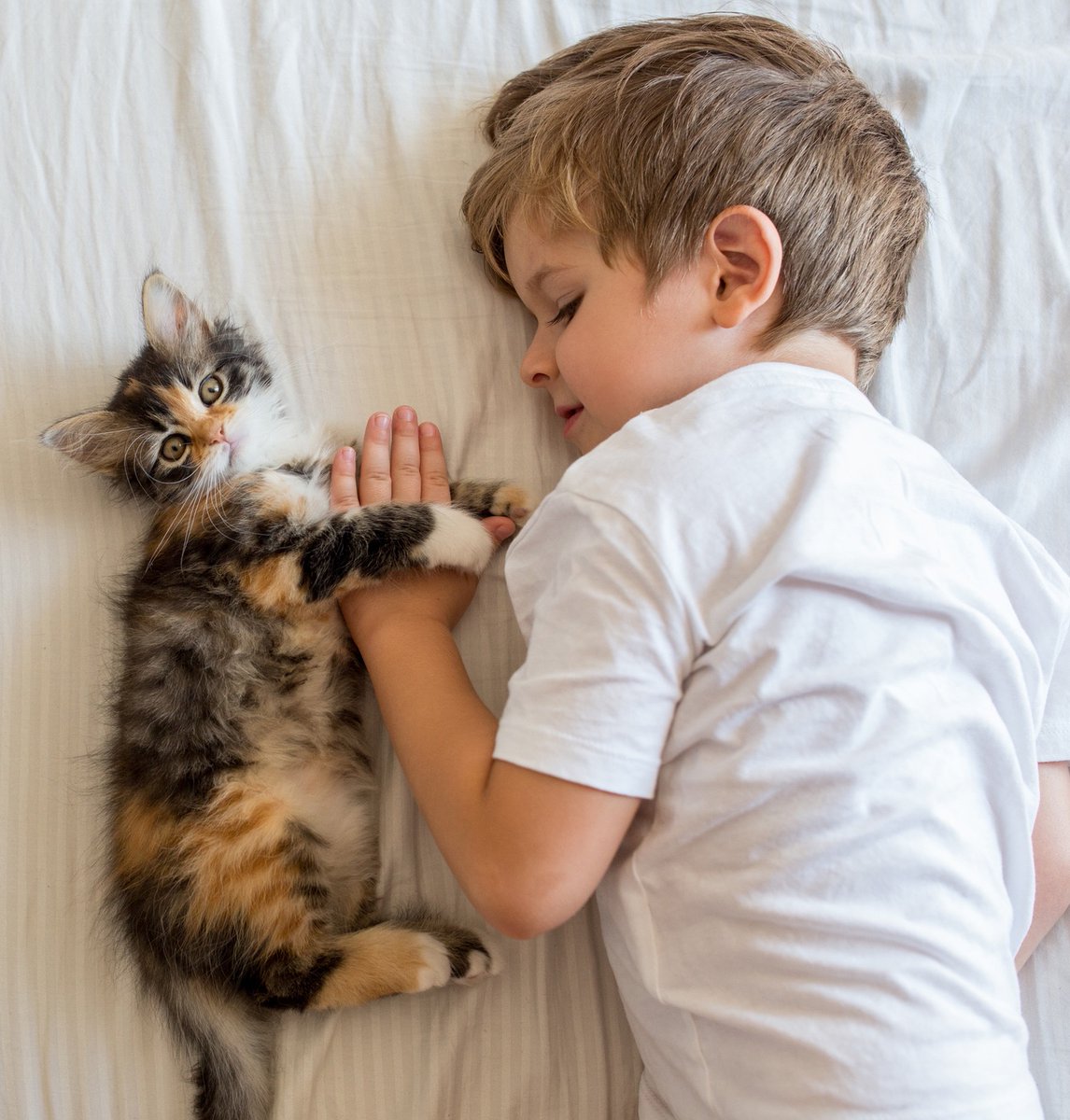 Feline Friday fact: Along with heart worms, heartworm preventives for cats protect families, too, by eliminating parasites that can be passed from pets to people.#healthyfamilies