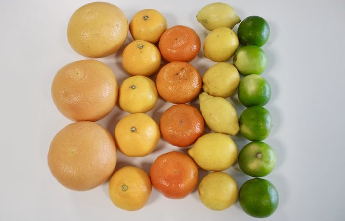 The Ladder School tweet media