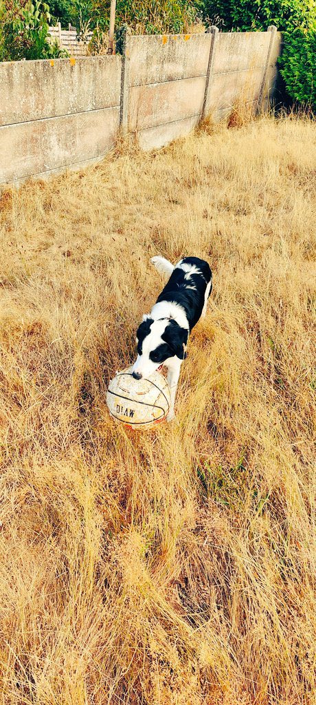 Lady Lay’s tweet media