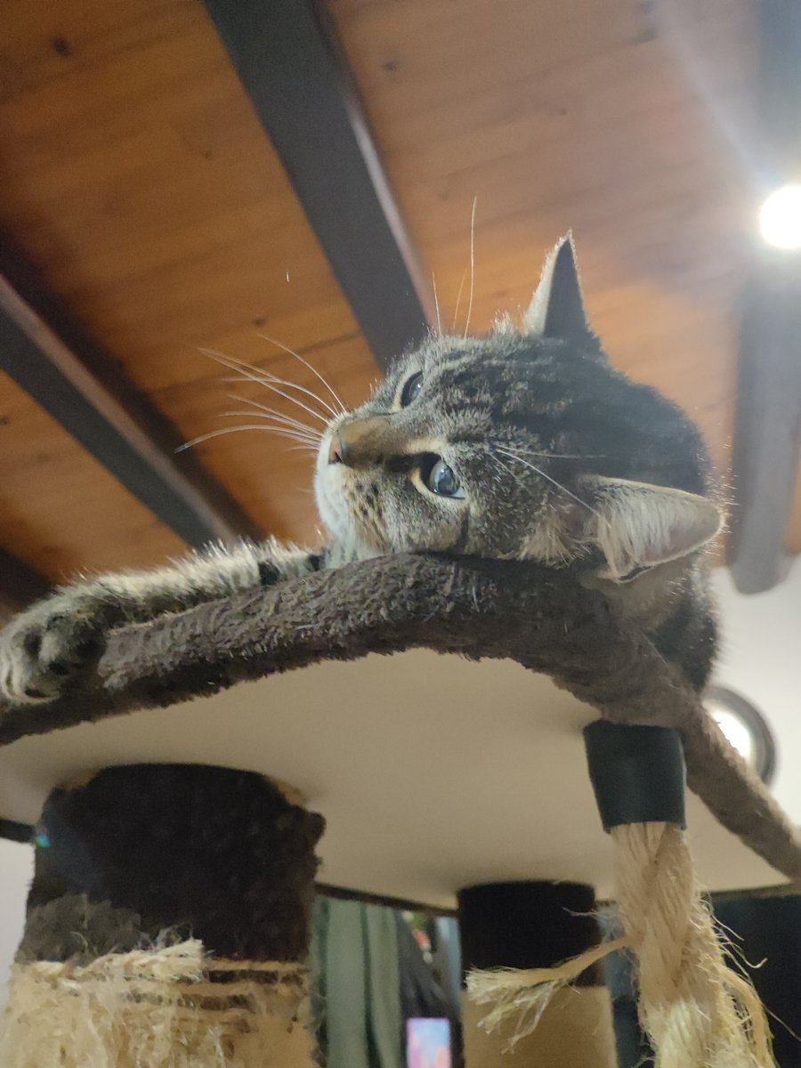 Lady Lay’s tweet media