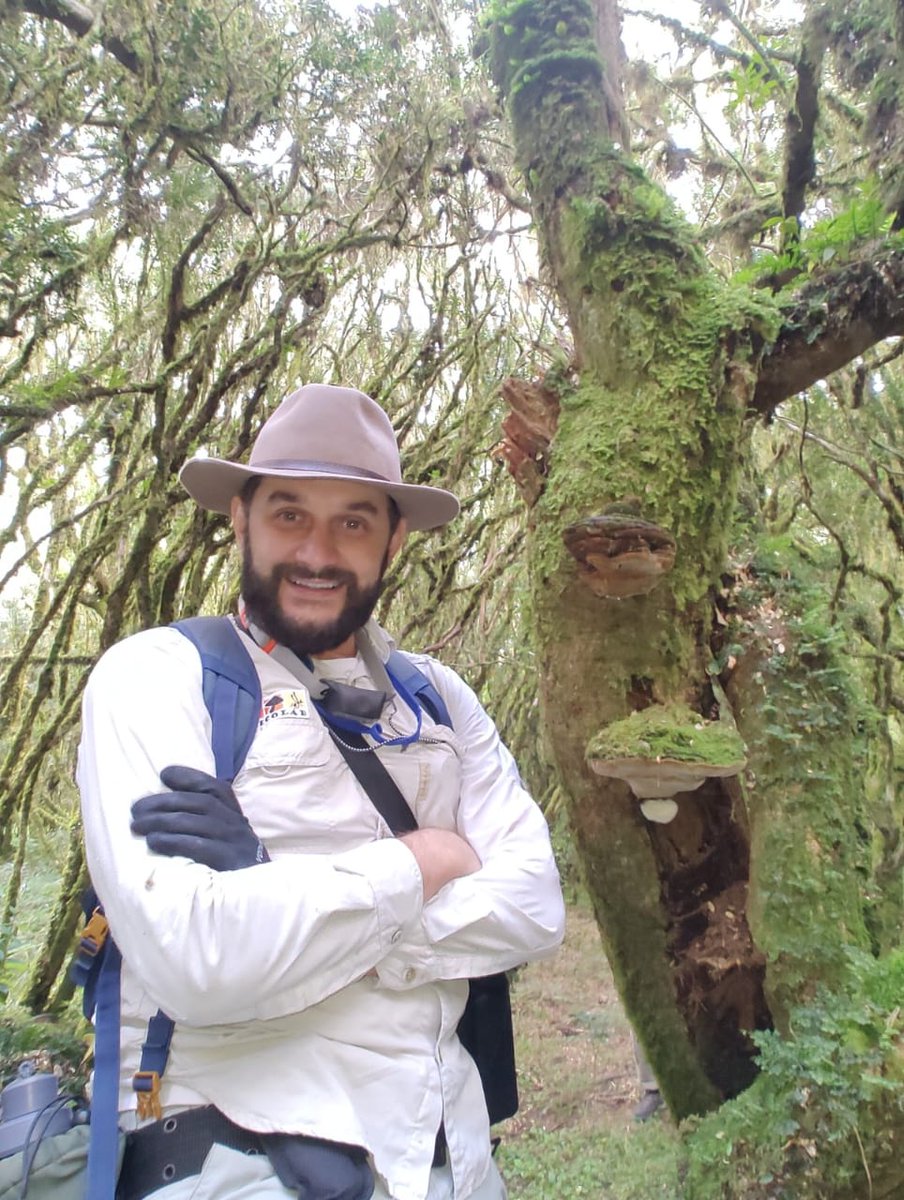 This #FungiFriday we’re sharing a story from our colleagues @iucnfungibrazil @IUCNssc! The co-chair and most recent member of @IUCNfungi, @ElisandroRicar1, was recently in the field collecting material for ex situ conservation. 1/