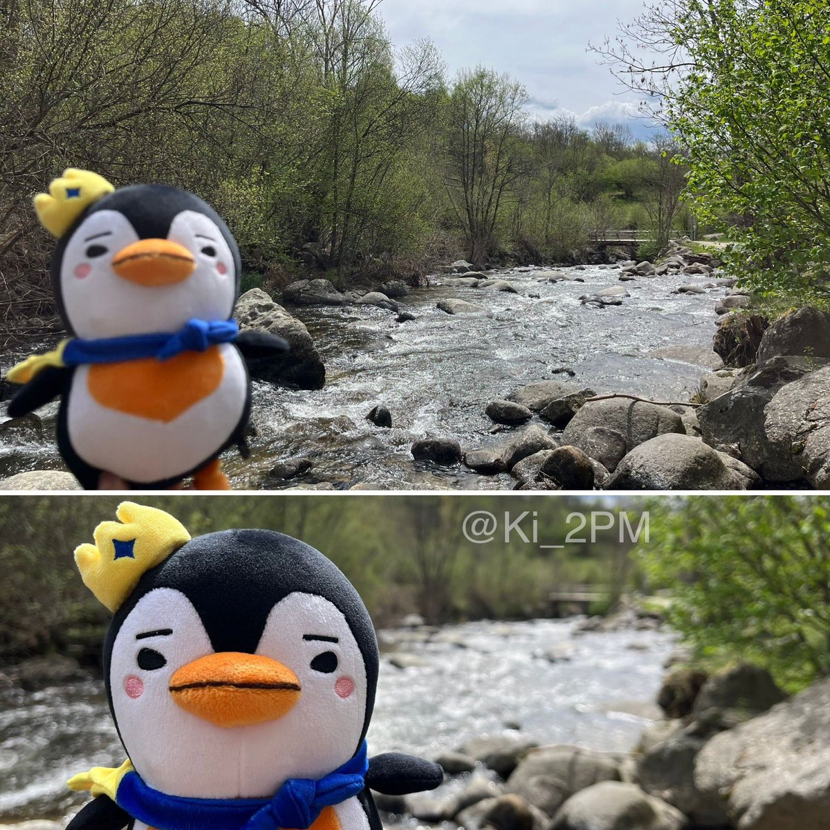 PenpenTravels's tweet photo. This Spanish Penpen is spending the weekend in the French Pyrenees, just across the border.

Despite the clouds the weather is hot, perfect for a little walk by the river. That cold water it tempting our little penguin, must be refreshing!

#PenpenTravels @Ki_2PM
#JUNHO #LeeJunho https://t.co/dw6daqffxx